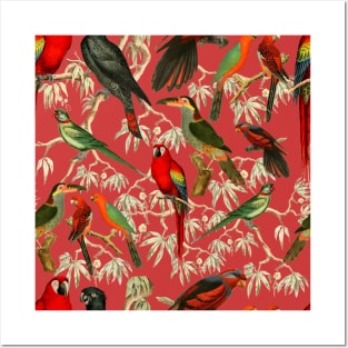 Tropical birds - pink Posters and Art